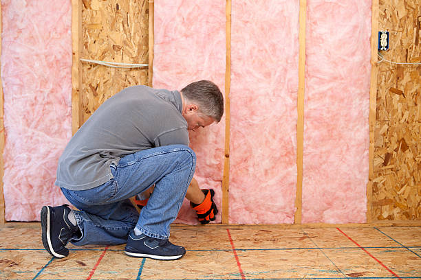 Best Cellulose Insulation in Hortonville, WI
