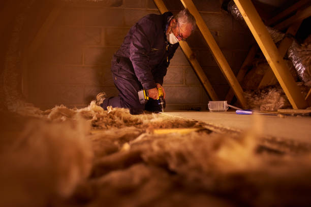 Best Eco-Friendly Insulation in Hortonville, WI