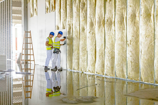 Best Eco-Friendly Insulation in Hortonville, WI